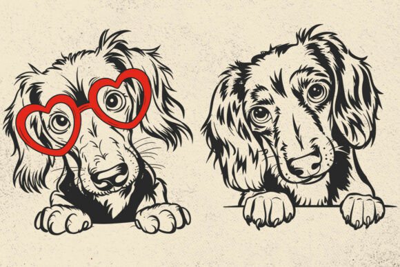 Dachshund Svg, Dog Face Svg, Doxie Mom: A Designer’s Take